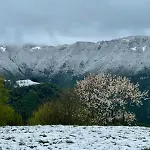 Terre Di Bea