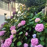 Terre Di Bea Bed & Breakfast 3*