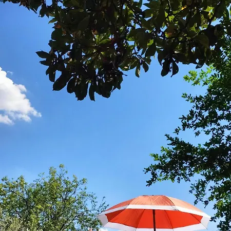 Bed & Breakfast Terre Di Bea Pederobba