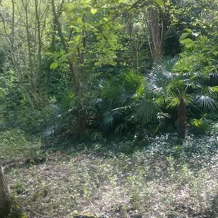 Terre Di Bea Frühstückspension Pederobba