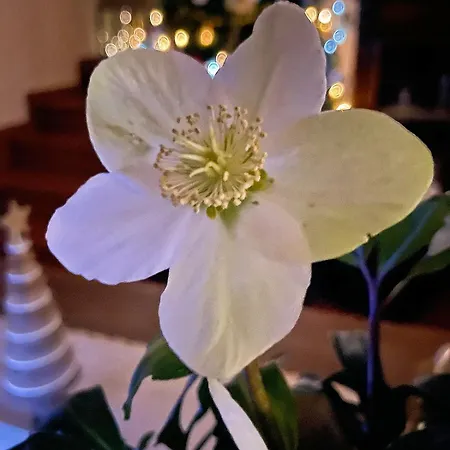 Terre Di Bea Pederobba