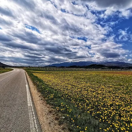 Panzió Terre Di Bea Pederobba