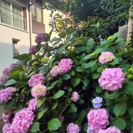 Terre Di Bea Bed & Breakfast *