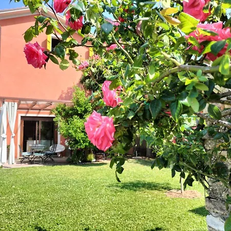 Bed & Breakfast Terre Di Bea Pederobba