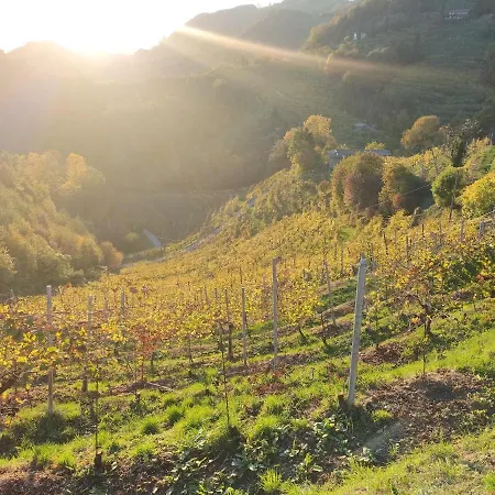 Terre Di Bea
