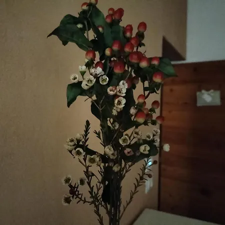 Terre Di Bea Bed & Breakfast Pederobba