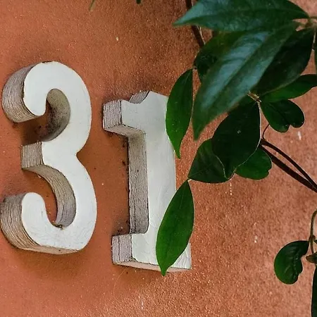 Terre Di Bea Pederobba