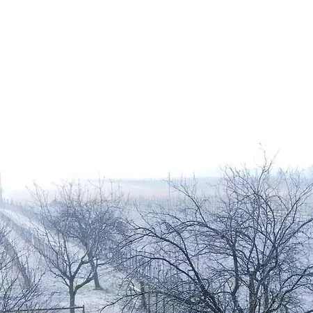 特雷比住宿加早餐旅馆