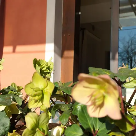 Bed & Breakfast Terre Di Bea Pederobba