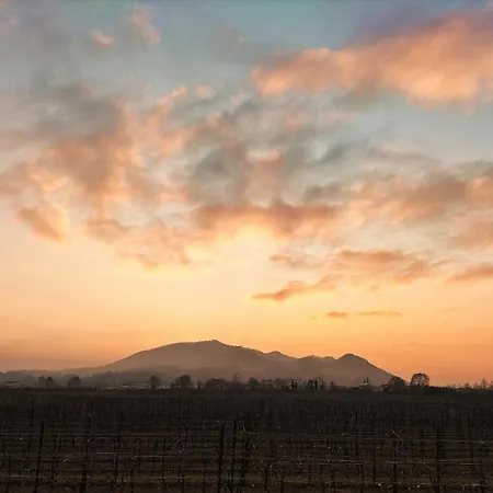 Terre Di Bea Bed & Breakfast *
