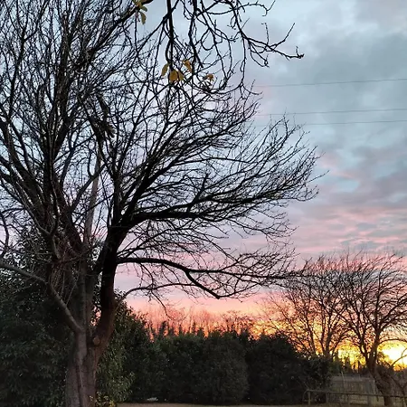 特雷比住宿加早餐旅馆
