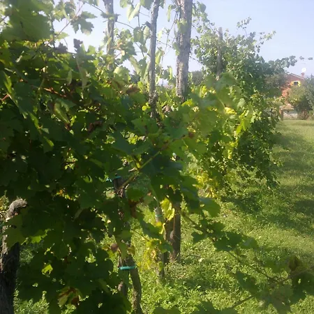 Terre Di Bea *