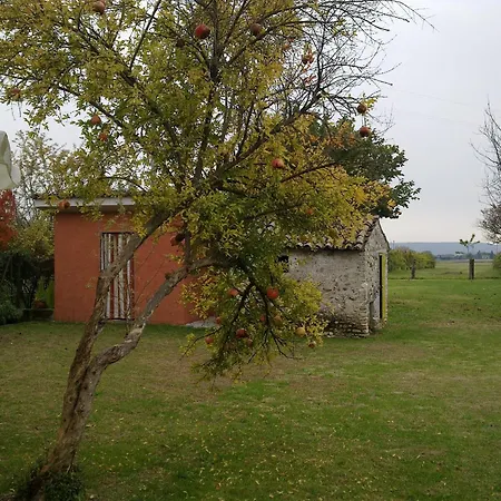 Bed & Breakfast Terre Di Bea Pederobba