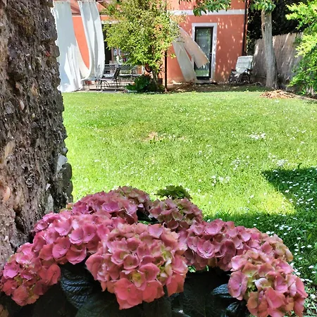 Terre Di Bea Pederobba