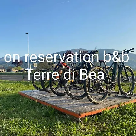 住宿加早餐酒店 特雷比住宿加早餐旅馆 4*