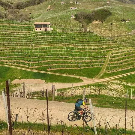 Terre Di Bea Pederobba