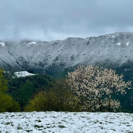 Terre Di Bea