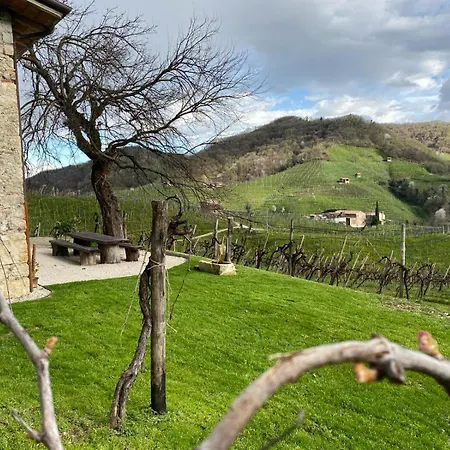 Terre Di Bea