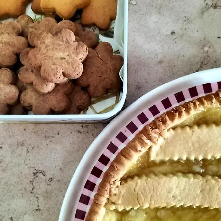 特雷比住宿加早餐旅馆 Pederobba