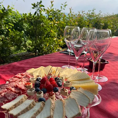 特雷比住宿加早餐旅馆 住宿加早餐酒店