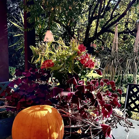 Terre Di Bea Pederobba