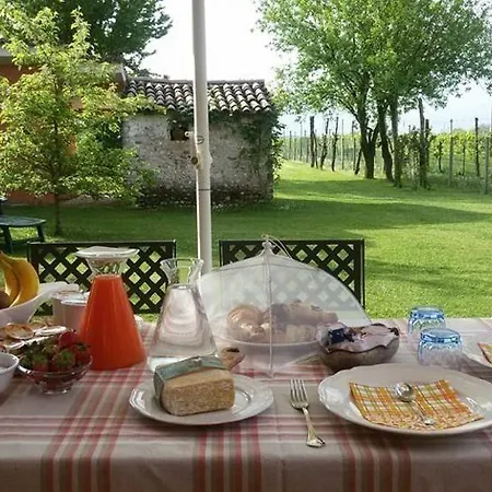 Terre Di Bea Pederobba