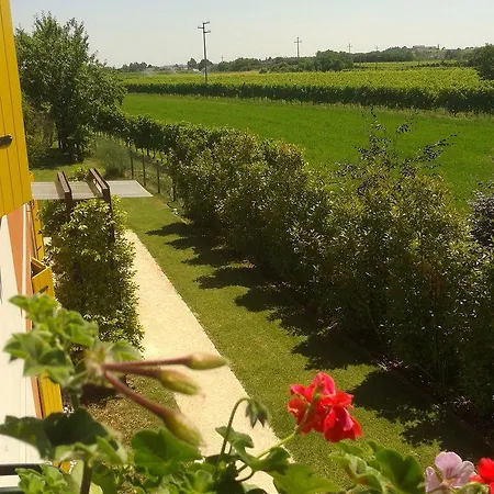 Bed & Breakfast Terre Di Bea Pederobba