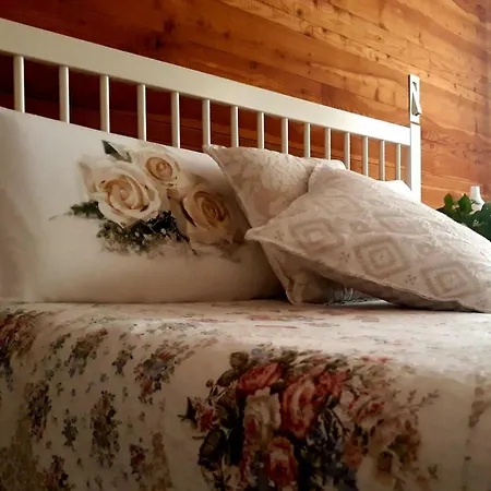 特雷比住宿加早餐旅馆