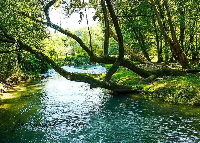 Terre Di Bea Bed & Breakfast