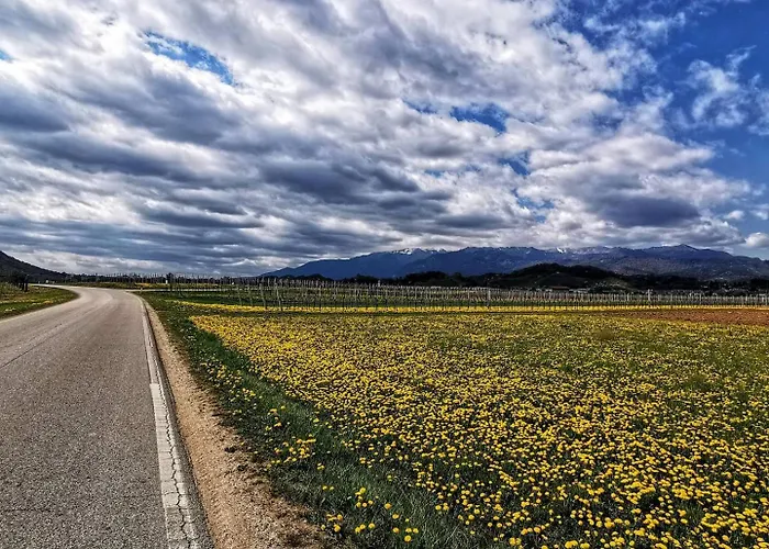 Bed & Breakfast Terre Di Bea Pederobba